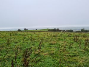 Photo 3- click for photo gallery